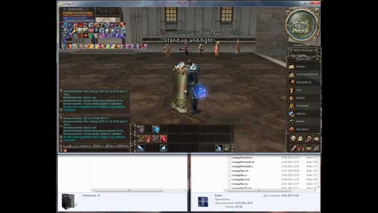 Lineage 2 Private Server Bot Allowed